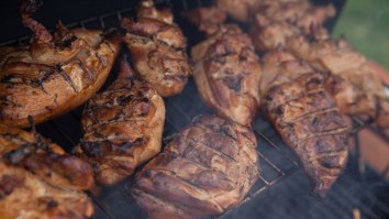 New Study Finds Eating Just 300g Of Chicken A Week Is Associated With 27% Increase In Risk Of Dying